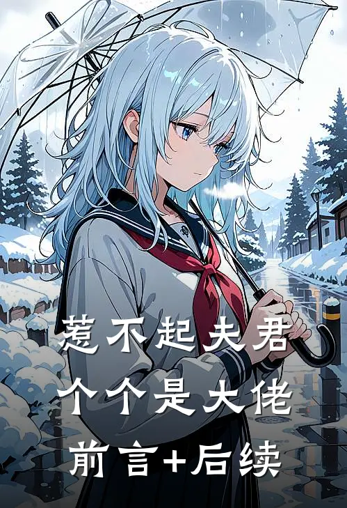 惹不起夫君个个是大佬前言+后续