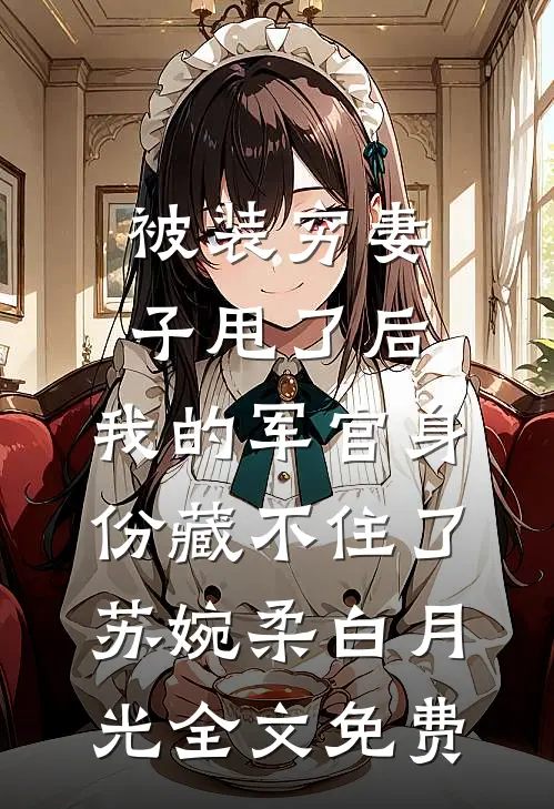 被装穷妻子甩了后，我的军官身份藏不住了苏婉柔白月光全文免费