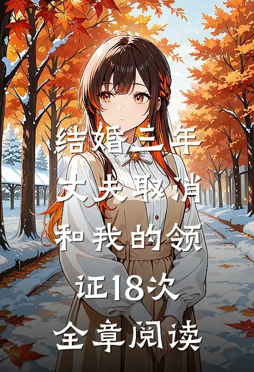 结婚三年，丈夫取消和我的领证18次全章阅读