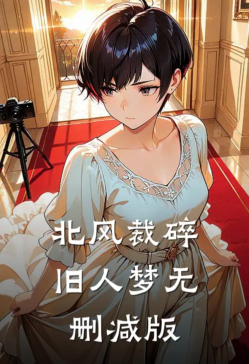 北风裁碎旧人梦无删减版