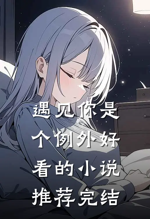 遇见你是个例外好看的小说推荐完结