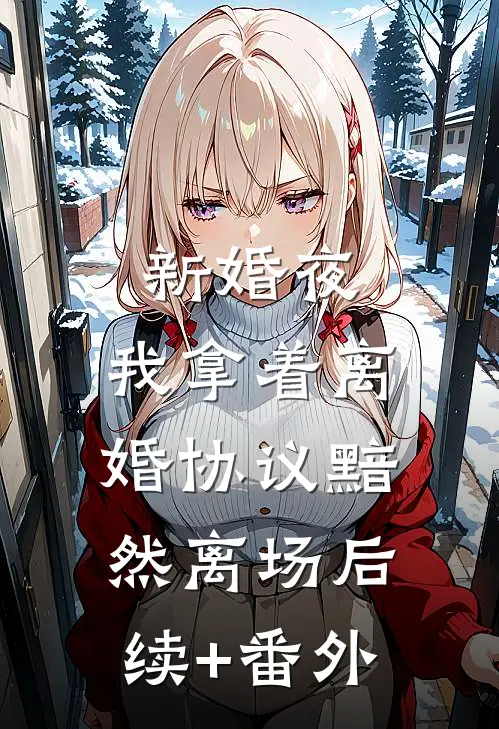 新婚夜，我拿着离婚协议黯然离场后续+番外