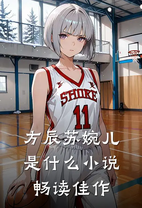 方辰苏婉儿是什么小说畅读佳作