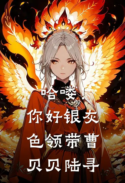 哈喽！你好，银灰色领带曹贝贝陆寻