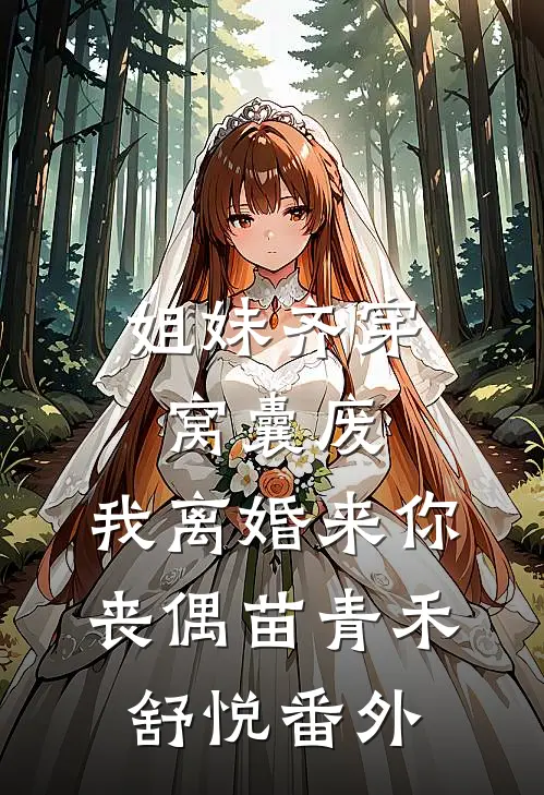 姐妹齐穿窝囊废，我离婚来你丧偶苗青禾舒悦 番外