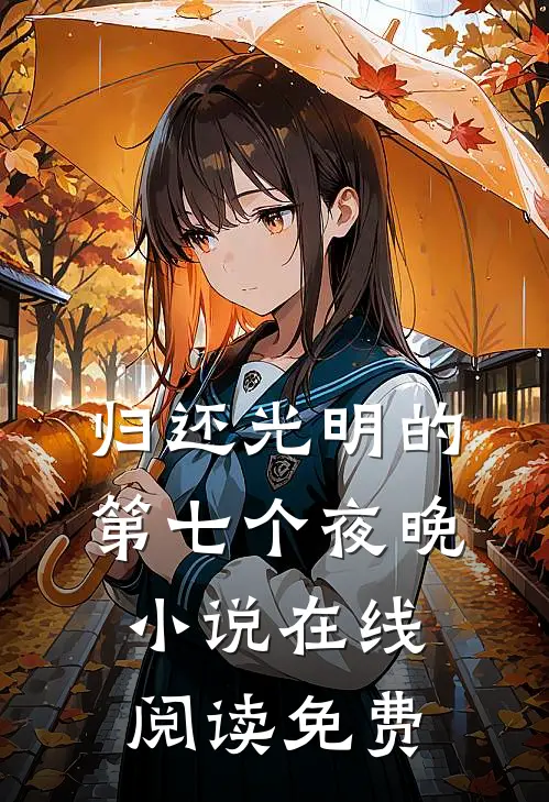 归还光明的第七个夜晚小说在线阅读免费