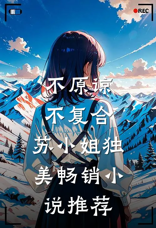 不原谅，不复合，苏小姐独美畅销小说推荐