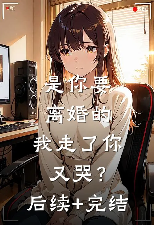 是你要离婚的，我走了你又哭？后续+完结