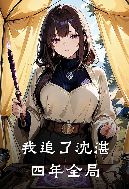 我追了沈湛四年全局
