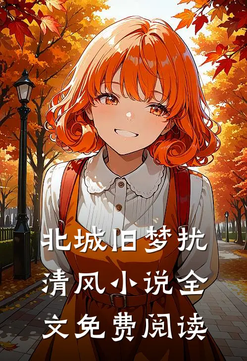 北城旧梦扰清风小说全文免费阅读