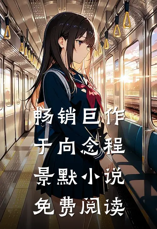 畅销巨作于向念程景默小说免费阅读