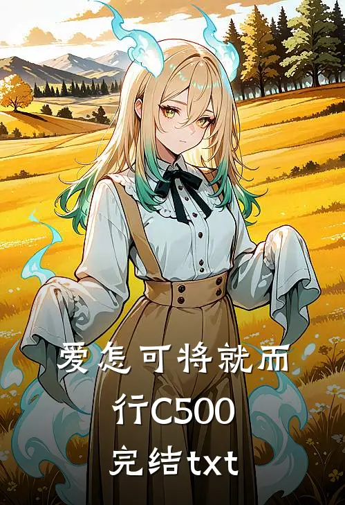 爱怎可将就而行C500完结txt