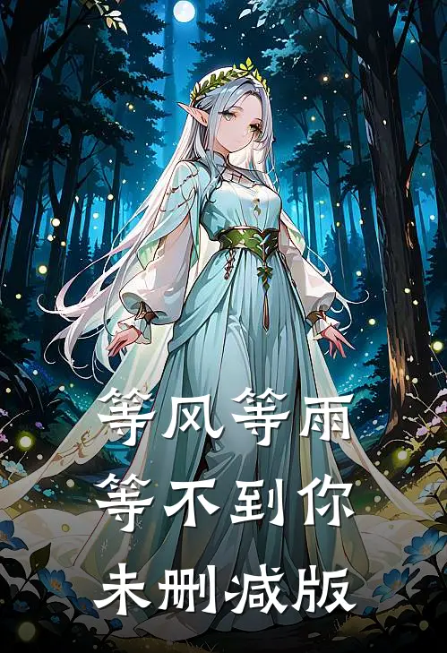 等风等雨等不到你未删减版