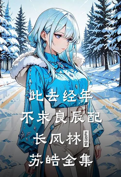 此去经年：不求良辰配长风林玥苏皓全集