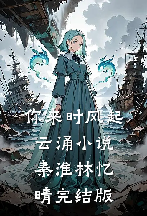 你来时风起云涌小说秦淮林忆晴完结版