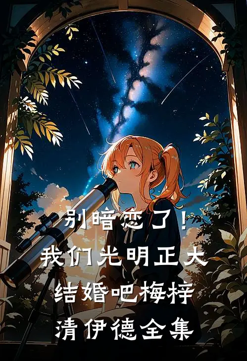 别暗恋了！我们光明正大结婚吧梅梓清伊德全集