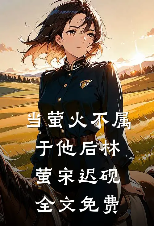 当萤火不属于他后林萤宋迟砚全文免费