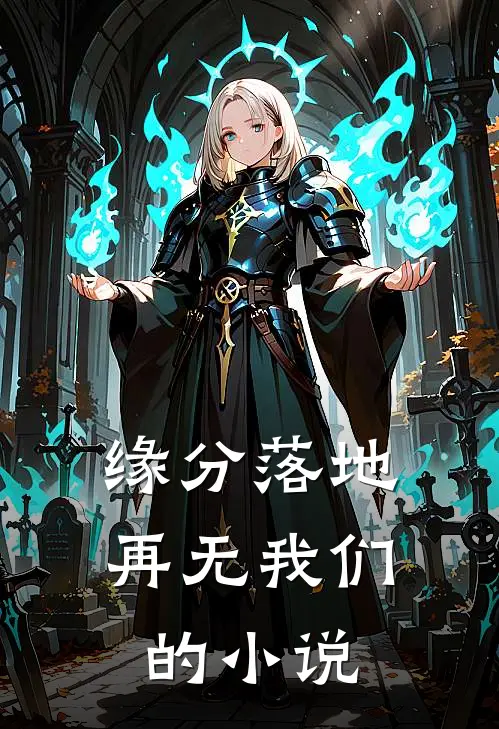 缘分落地再无我们的小说