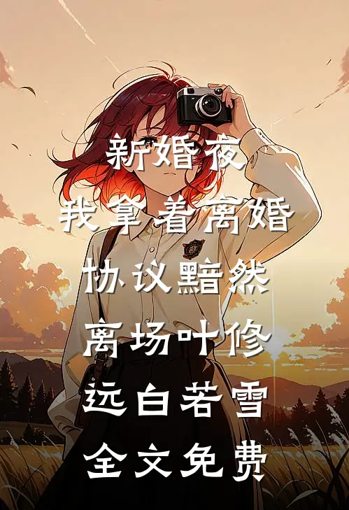 新婚夜，我拿着离婚协议黯然离场叶修远白若雪全文免费