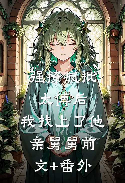 强撩疯批太傅后，我找上了他亲舅舅前文+番外