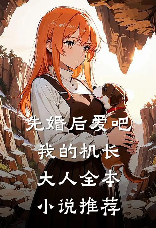 先婚后爱吧，我的机长大人全本小说推荐