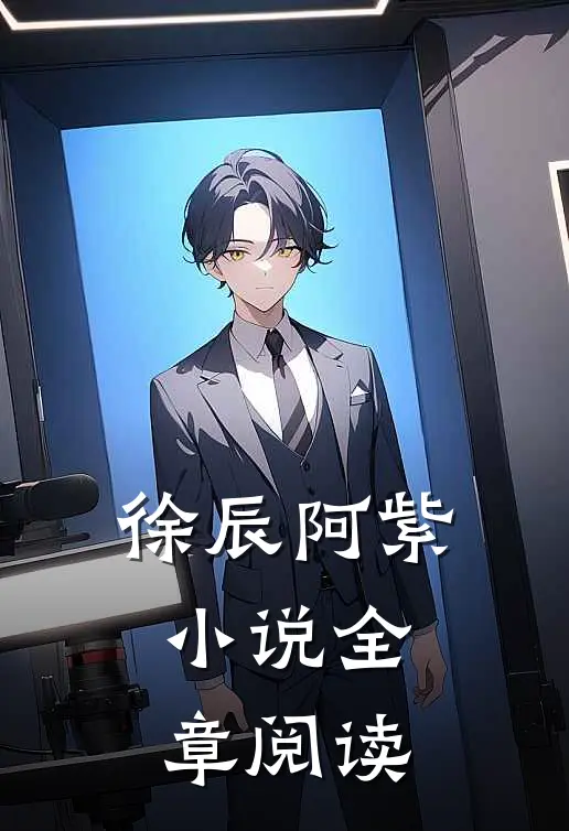 徐辰阿紫小说全章阅读